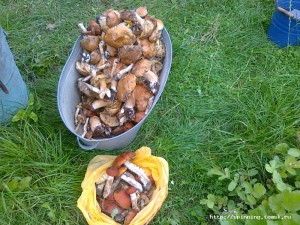 25082012139.jpg