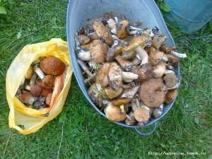25082012140.jpg