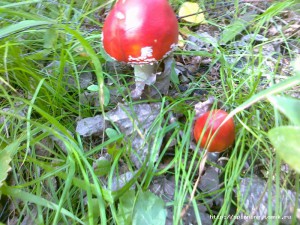 25082012134.jpg