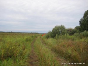 IMG_5001.JPG