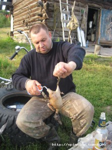 IMG_5023.JPG
