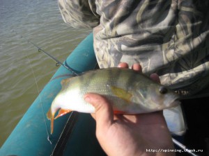IMG_5030.JPG