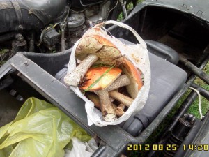 19.jpg