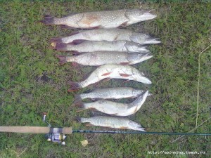 29082012296.jpg