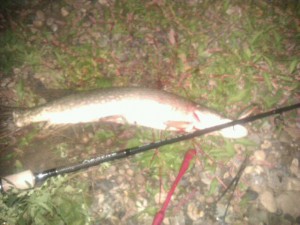 IMG-20120830-WA0001.jpg