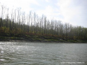 IMG_5124.jpg