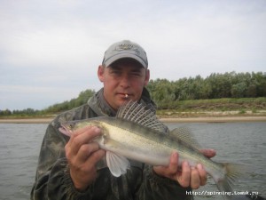 IMG_5127.jpg