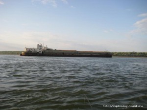 IMG_5157.jpg