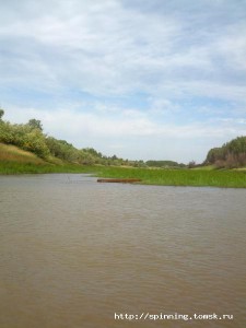 IMG_20120901_122733.jpg