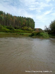 IMG_20120901_122738.jpg