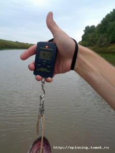 IMG_20120901_142946.jpg