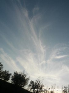 IMG_20120901_190829.jpg