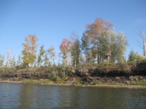 IMG_3239.jpg