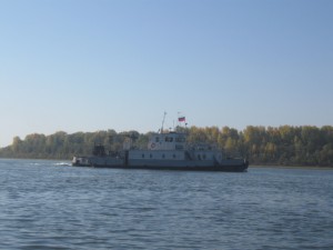 IMG_3240.jpg