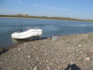 IMG_3243.jpg