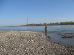 IMG_3242.jpg