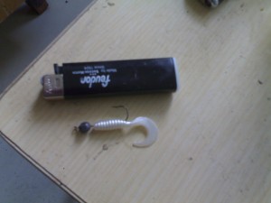 22042010269.jpg