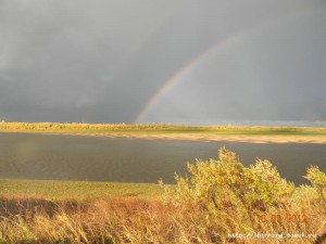 DSCN5512.JPG