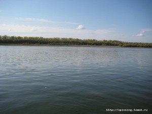 IMG_5310.JPG