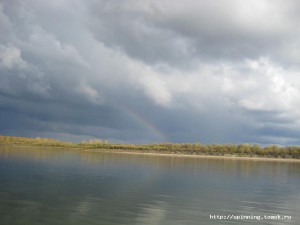 IMG_5311.JPG
