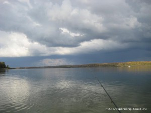 IMG_5312.JPG