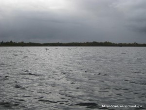 IMG_5348.JPG