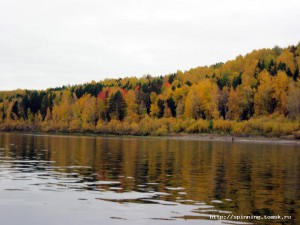 IMG_3842.JPG