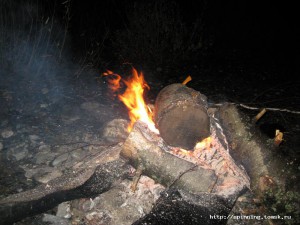 IMG_2554.JPG