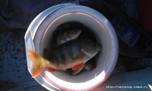 IMAG0117.jpg