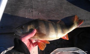 IMAG0119.jpg