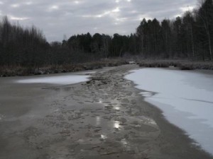 100_1233.JPG