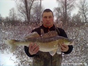20102012403.jpg