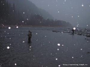 Снег1-1.jpg