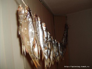 IMG_0765.JPG