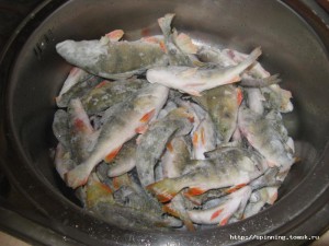 IMG_1268.JPG