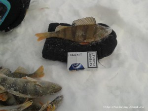 2012-12-01 13.38.17.jpg