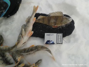2012-12-01 13.38.26.jpg