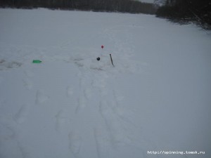 IMG_5728.JPG