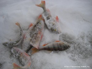 IMG_5730.JPG