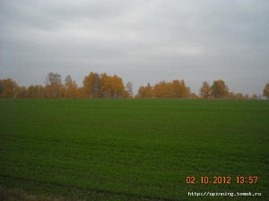 DSCN3781.JPG