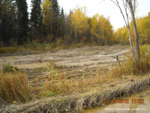 DSCN3774.JPG