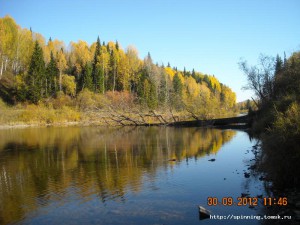 DSCN3729.JPG