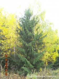 DSCN3779.JPG