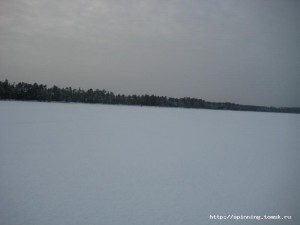 IMG_5766.JPG