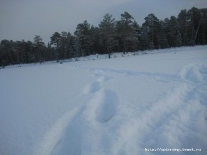 IMG_5769.JPG