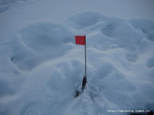 IMG_5781.JPG