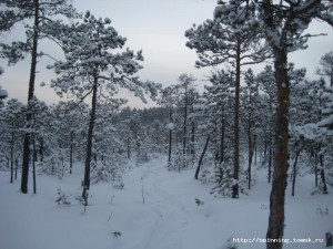 IMG_5789.JPG