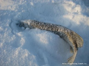 IMG_5879.JPG