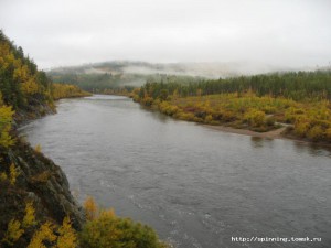 IMG_1433.jpg