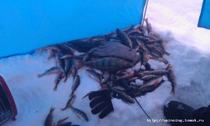 IMAG0149.jpg